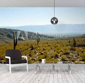 Picture of Cardon Cactus - Argentina